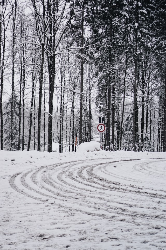 Frozen Road